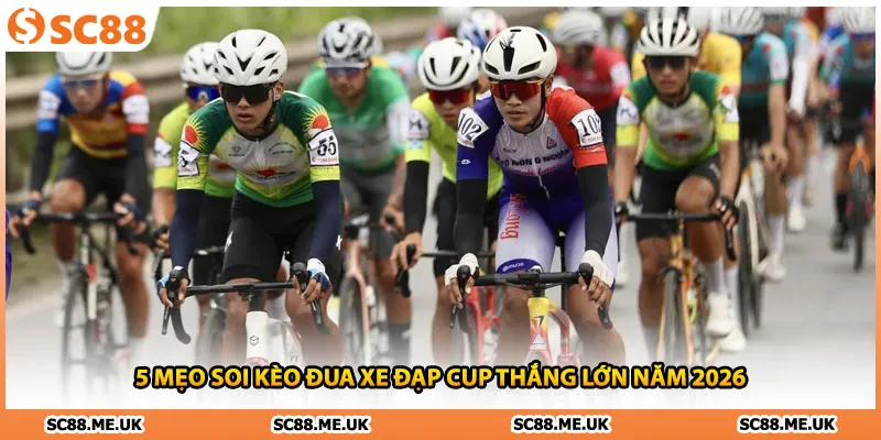 5 Mẹo Soi Kèo Đua Xe Đạp Cup Thắng Lớn Năm 2026