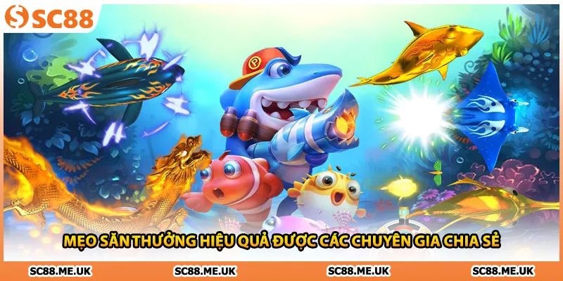 Bắn Cá Nổ Hũ - Mẹo Săn Kho Báu Như Lão Làng Cực Chuẩn