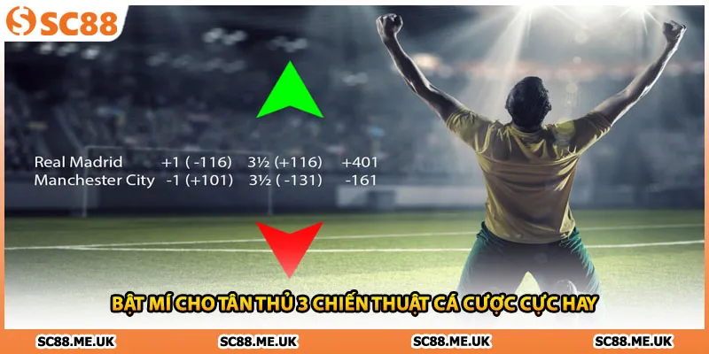 Bật mí cho tân thủ 3 chiến thuật cá cược cực hay