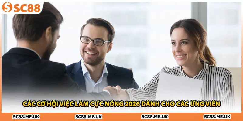 Các cơ hội việc làm cực nóng 2026 dành cho các ứng viên