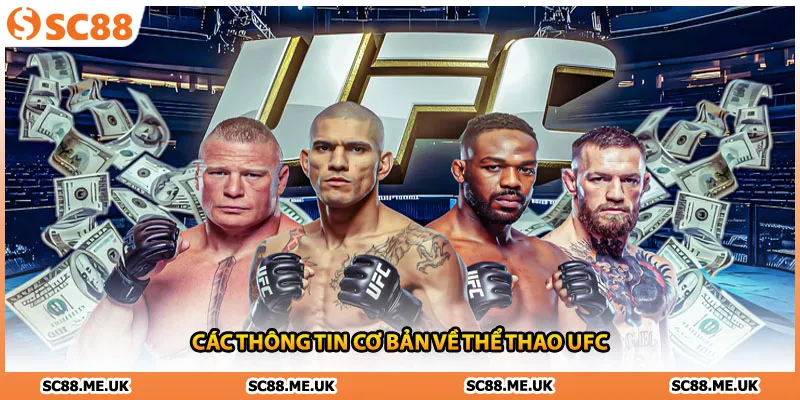 Các thông tin cơ bản về thể thao UFC