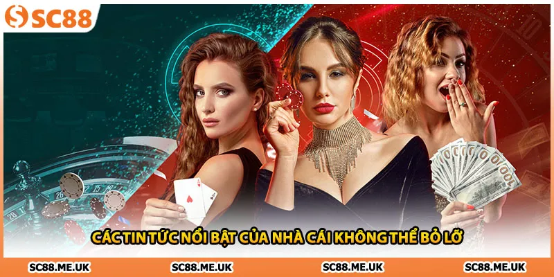 Các tin tức nổi bật của nhà cái không thể bỏ lỡ