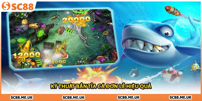 Kỹ thuật bắn tỉa cá đơn lẻ hiệu quả