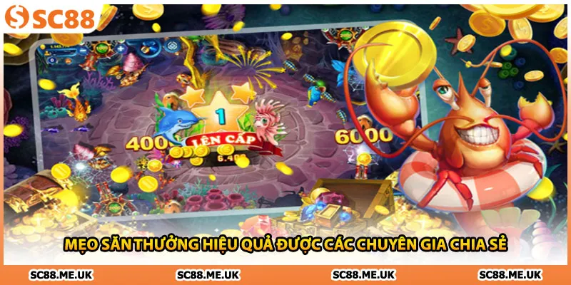 Mẹo săn thưởng hiệu quả được các chuyên gia chia sẻ 