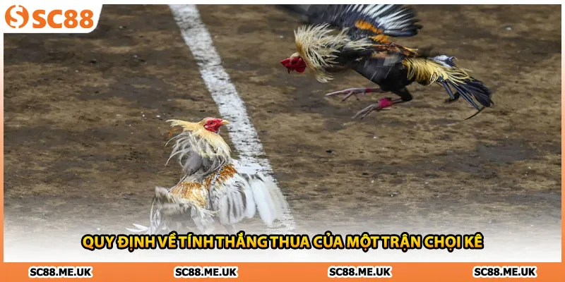 Quy định về tính thắng thua của một trận chọi kê 