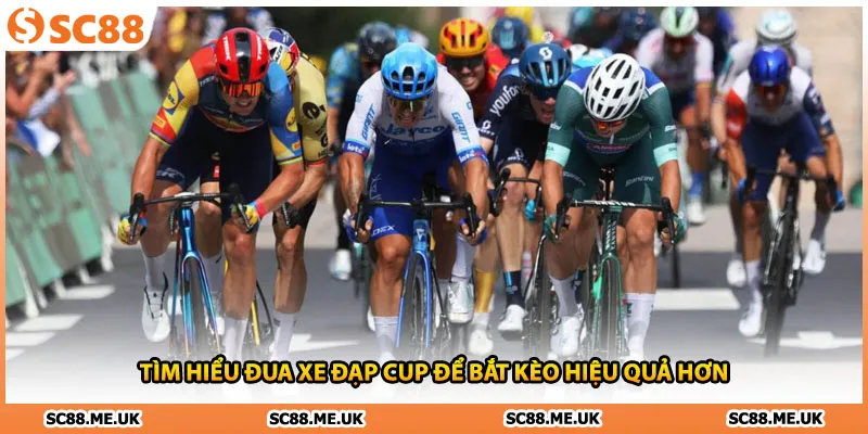 Tìm hiểu đua xe đạp cup để bắt kèo hiệu quả hơn