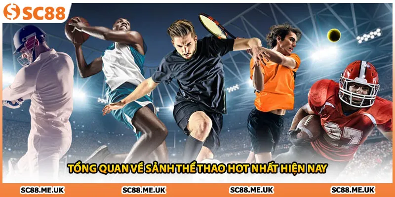 Tổng quan về sảnh thể thao hot nhất hiện nay