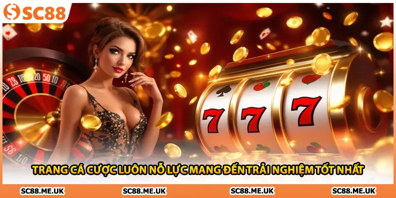 Trang cá cược luôn nỗ lực mang đến trải nghiệm tốt nhất